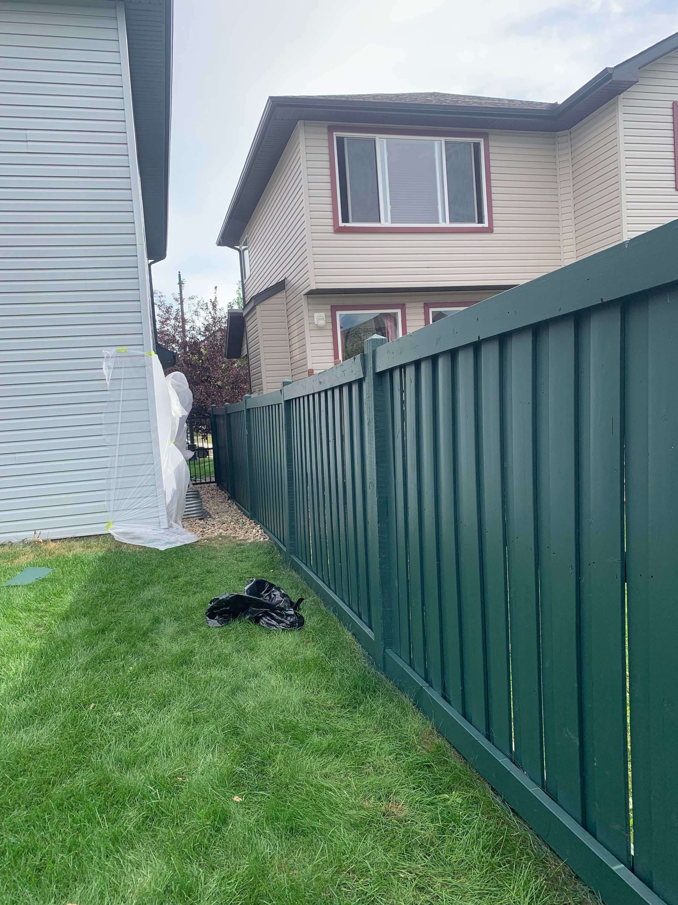 Green Painted Fence